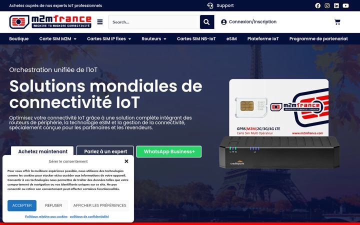 Screenshot of m2mfrance.com