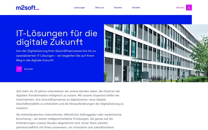 Screenshot of m2soft.com