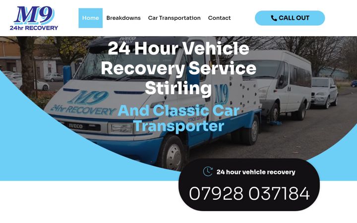 Screenshot of m9recovery.com