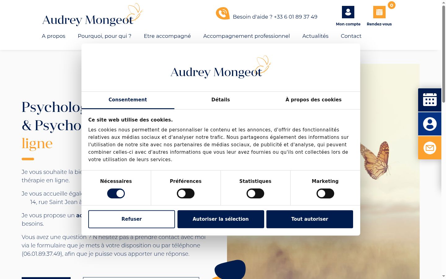 Screenshot of the consent banner shown before any interaction