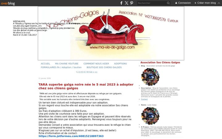 Screenshot of ma-vie-de-galgo.com