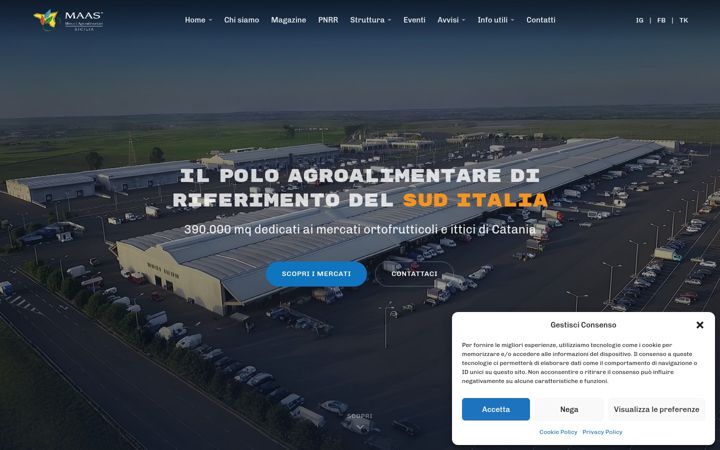 Screenshot of maas.it