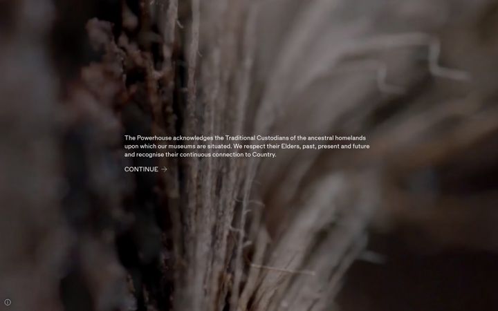 Screenshot of maas.museum