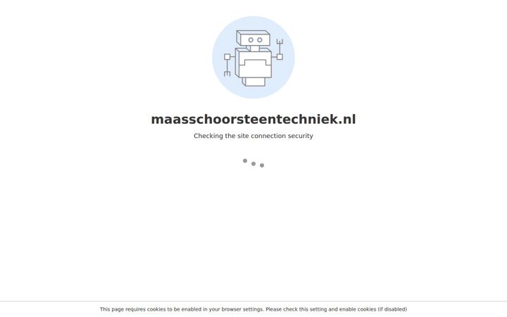 Screenshot di maasschoorsteentechniek.nl