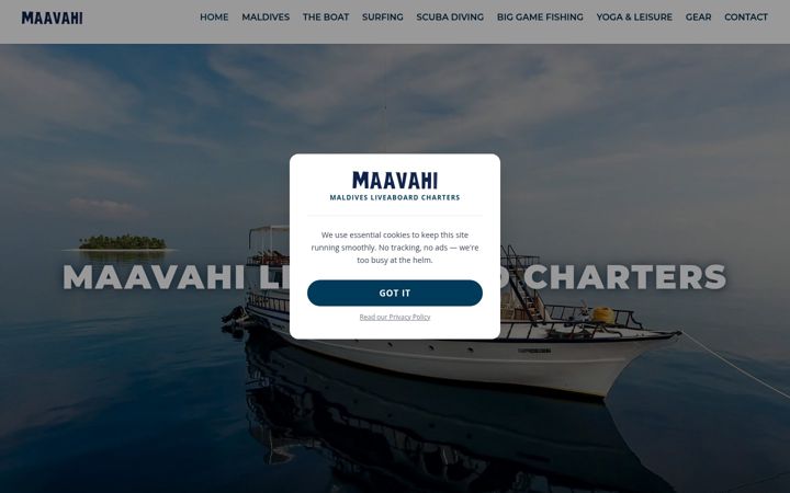 Screenshot of maavahi.com