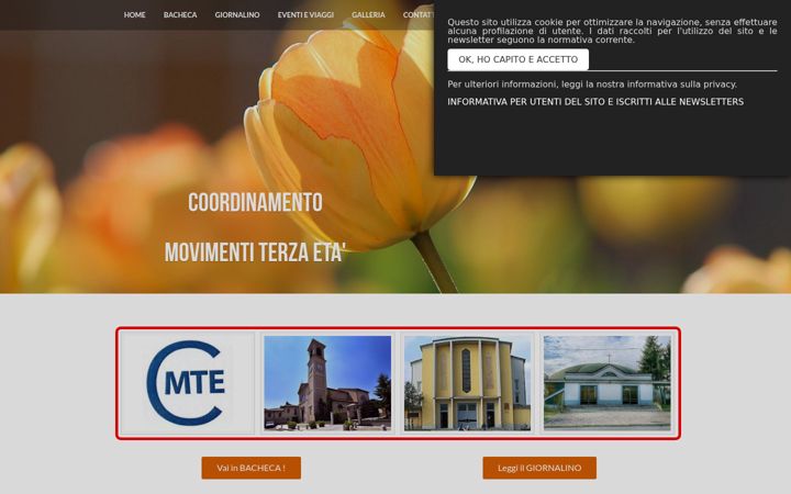 Screenshot of maccheanzianidegitto.com