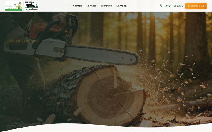 Screenshot ta' machinesservices.ch