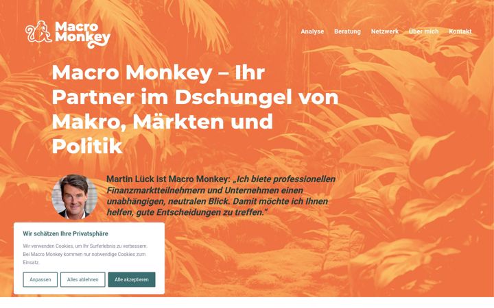 Screenshot of macromonkey.de