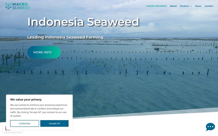 Screenshot of macroseaweed.com