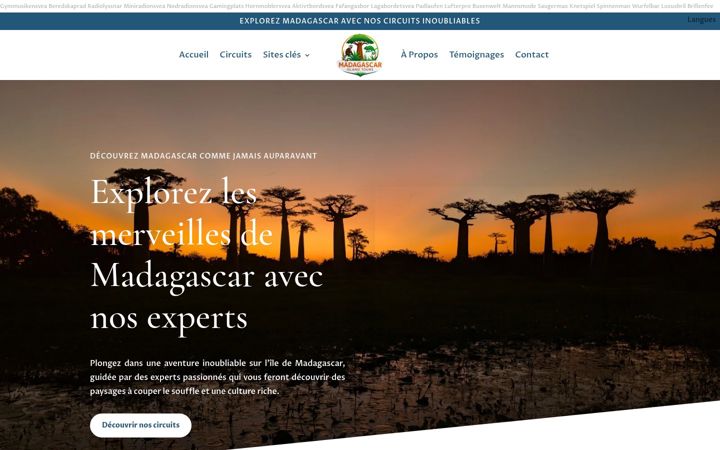 Screenshot of madagascar-island-tours.com