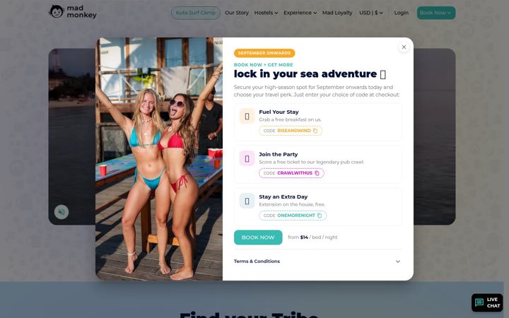 Screenshot von madmonkeyhostels.com