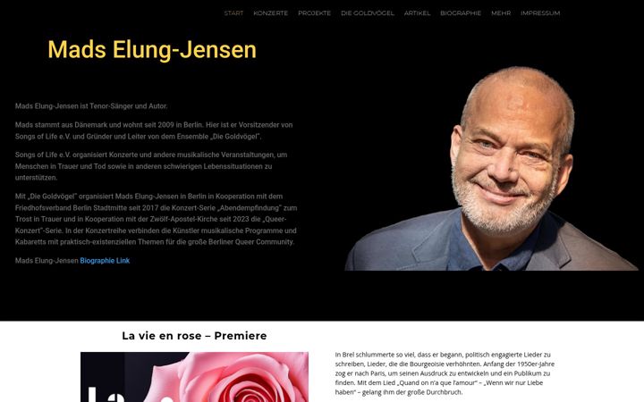 Screenshot of madselung-jensen.de