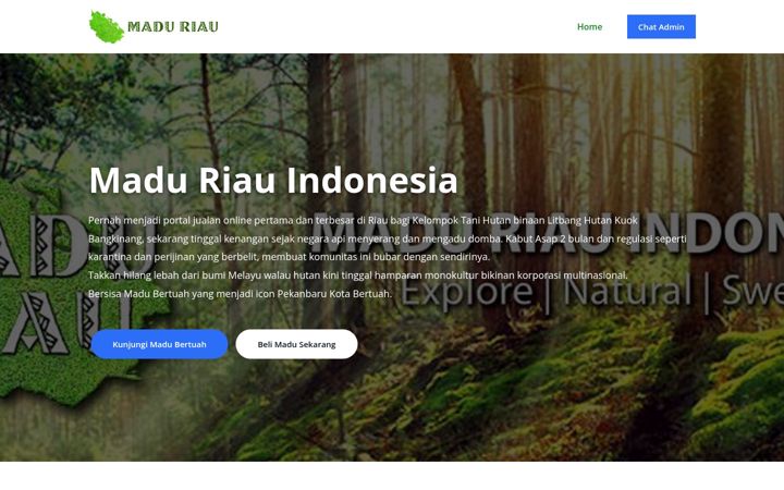 Screenshot of maduriau.com