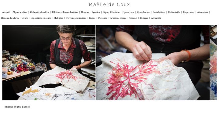 Screenshot of maelledecoux.fr