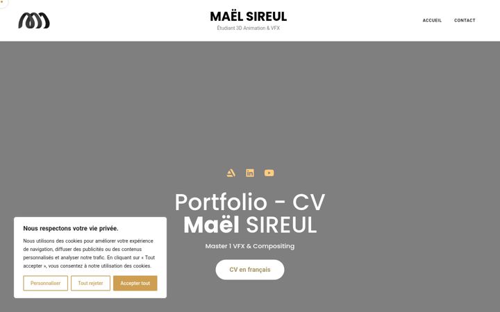Screenshot of maelsrl.fr