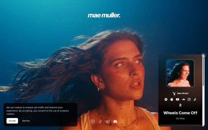 Screenshot of maemuller.com