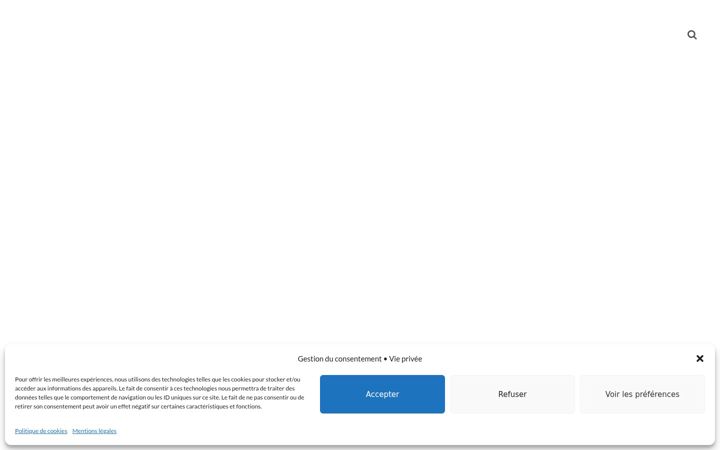 Screenshot of maes-groupe.com