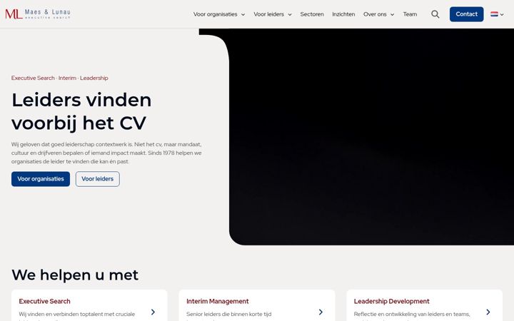 Screenshot of maeslunau.com