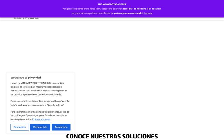 Screenshot of maesma.es