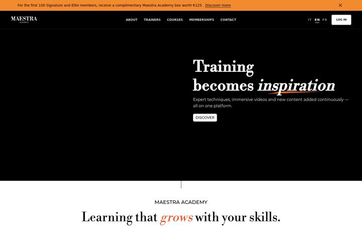 Screenshot of maestracademy.com