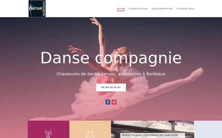 Screenshot of magasin-danse-bordeaux.fr