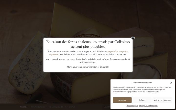 Screenshot of magasin-vagne.com