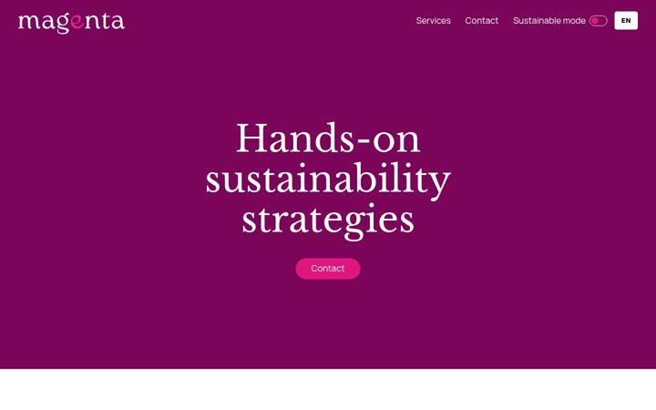 Screenshot of magenta-consulting.be