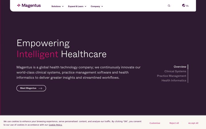 Screenshot of magentus.com