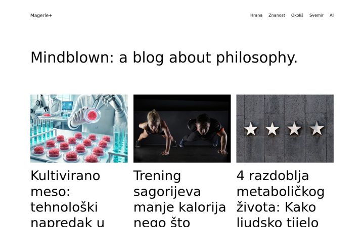 Screenshot of magerleplus.com