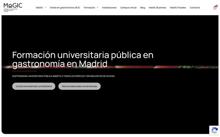 Screenshot of magic-edu.es