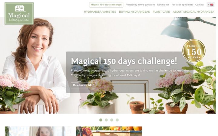 Ekrānuzņēmums no magicalcoloursyourhome.com
