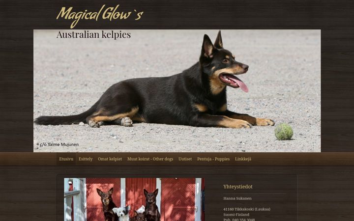 Screenshot of magicalglows.com