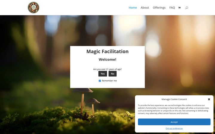 Screenshot of magicfacilitation.com