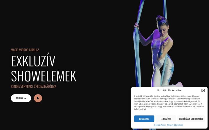Screenshot of magicmirrorcircus.com