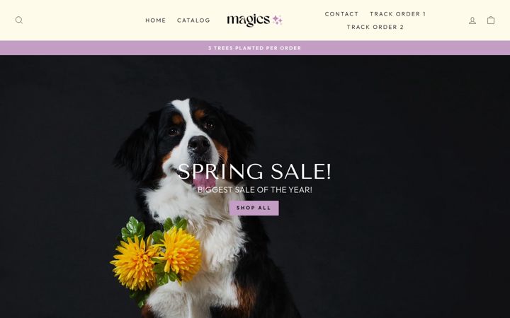 Screenshot of magicswear.com
