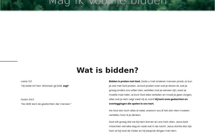 Screenshot of magikvoorjebidden.eu