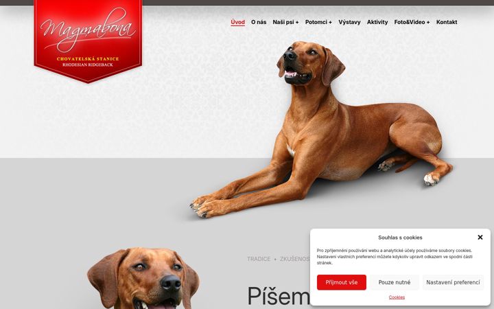 Screenshot of magmabona.com