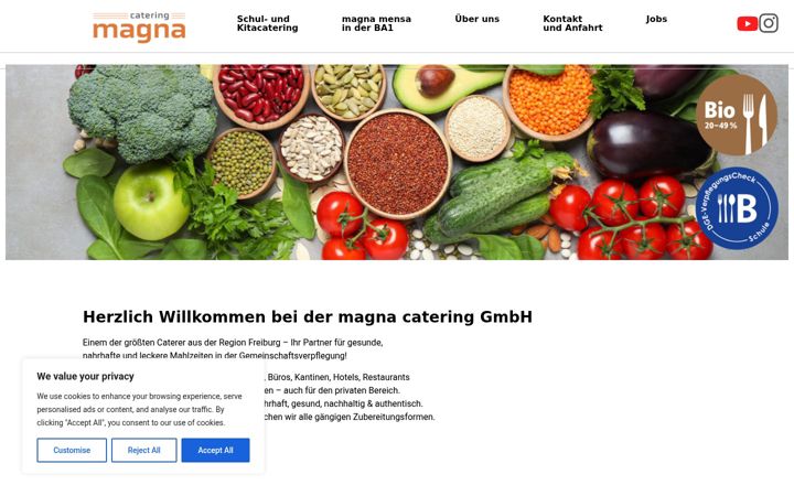 Screenshot of magna-catering.de