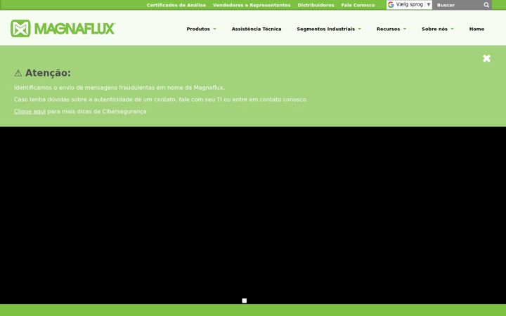 Screenshot of magnaflux.com.br