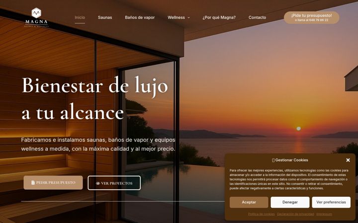 Screenshot of magnasaunas.com
