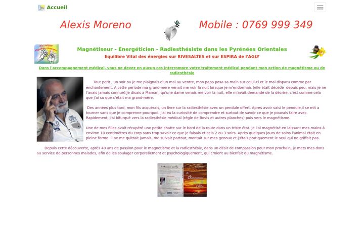 Screenshot of magnetiseurpo.fr
