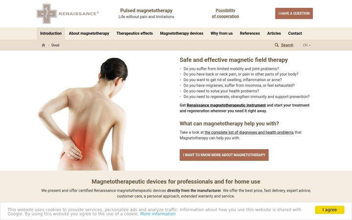 Screenshot of magnetotherapyforhealth.com