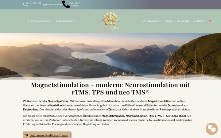 Screenshot of magnetstimulation.org