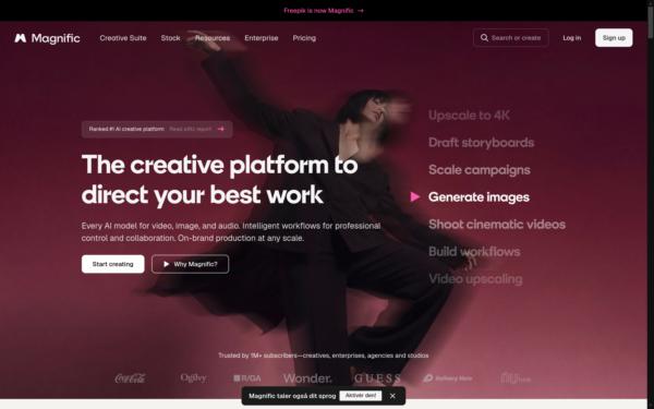Screenshot of magnific.com