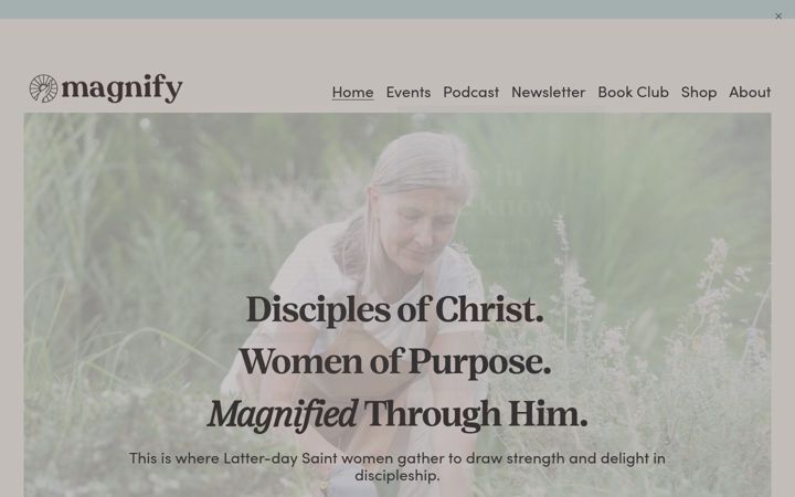 Screenshot of magnifythegood.com