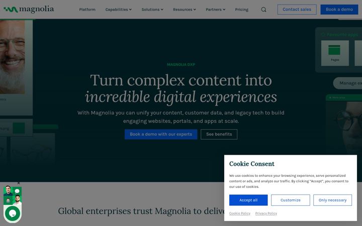 Screenshot of magnolia-cms.com