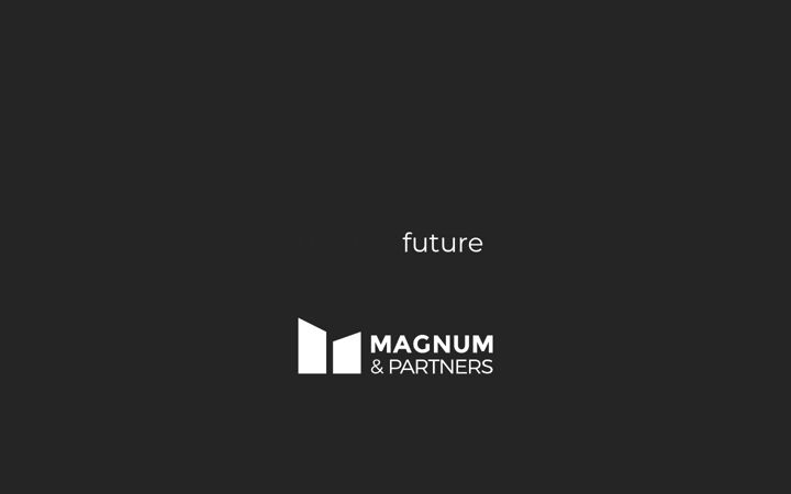 Screenshot of magnum-partners.com