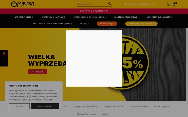 Screenshot of magnumsklep.pl