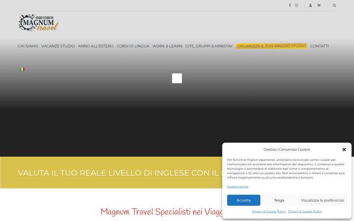 Screenshot of magnumviaggistudio.it