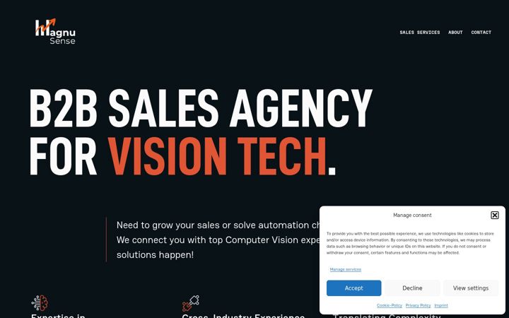 Screenshot of magnusense.com
